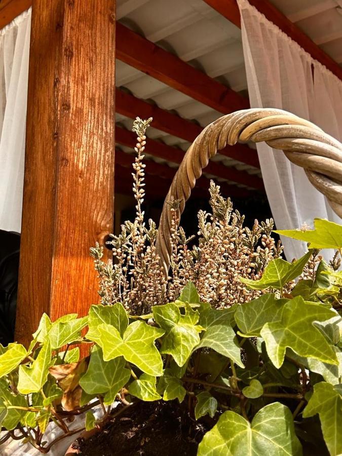 Bon Bon Del Corso Con Terrazzo E Aria Condizionata Leilighet Asti Eksteriør bilde
